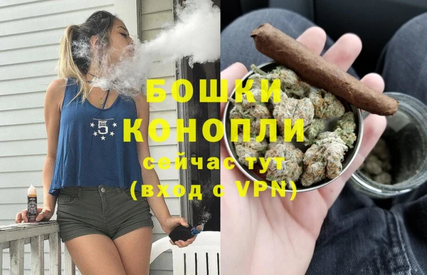 сатива Богородицк