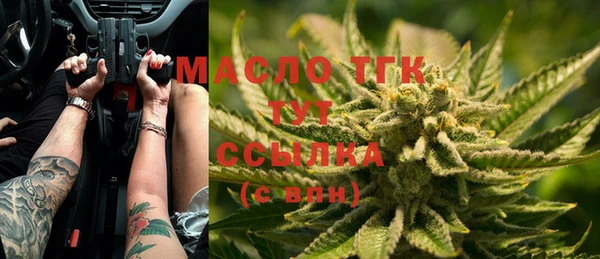 сатива Богородицк