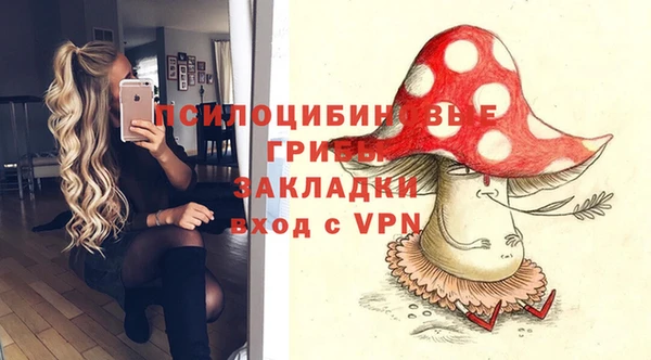 сатива Богородицк
